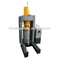 YTYE-250 Avocado Hydraulic Oil Press Machine